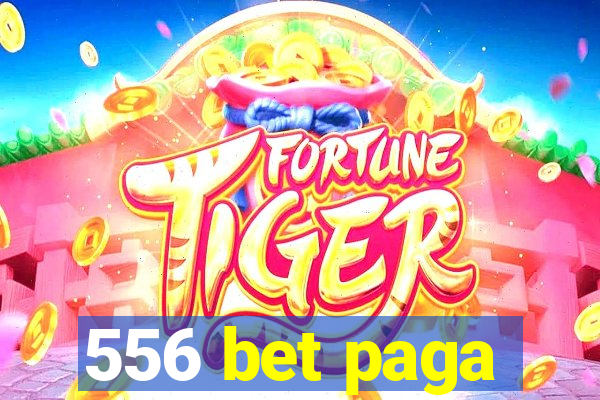 556 bet paga